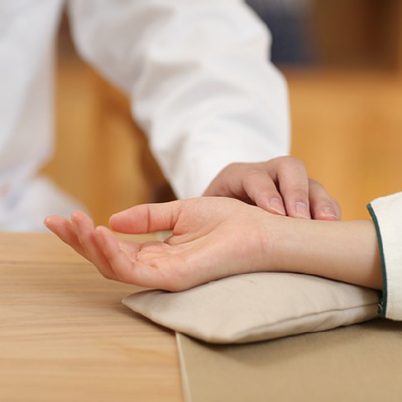 Formador de medicina china integrativa Yung Arrizabalaga