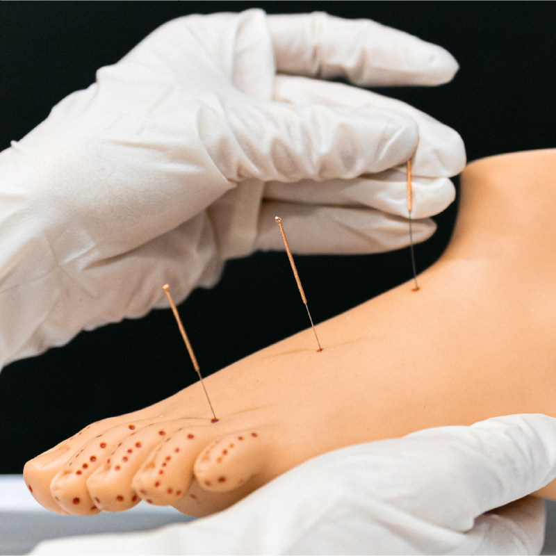 Formador de medicina china integrativa Yung Arrizabalaga